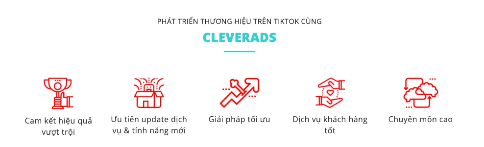 CleverAds – Đối tác uỷ quyền của TikTok tại Việt Nam