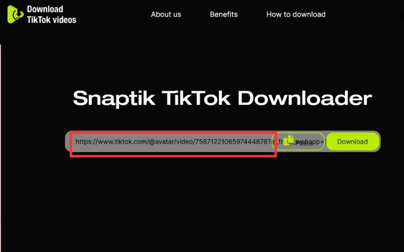 Dán link video TikTok vào ô nhập liệu