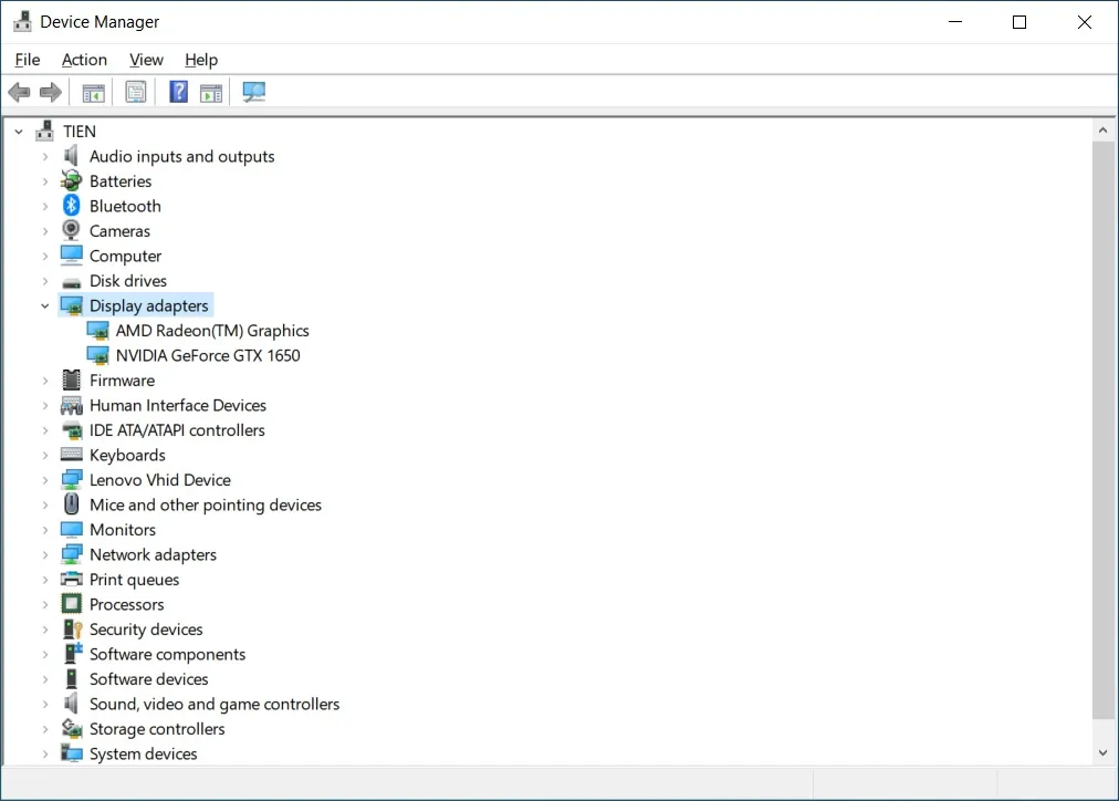 Xác định driver card đồ họa trong mục Display Adapters để đảm bảo cài đặt màn hình thành công