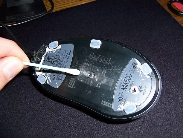 cach ve sinh chuot dung cach