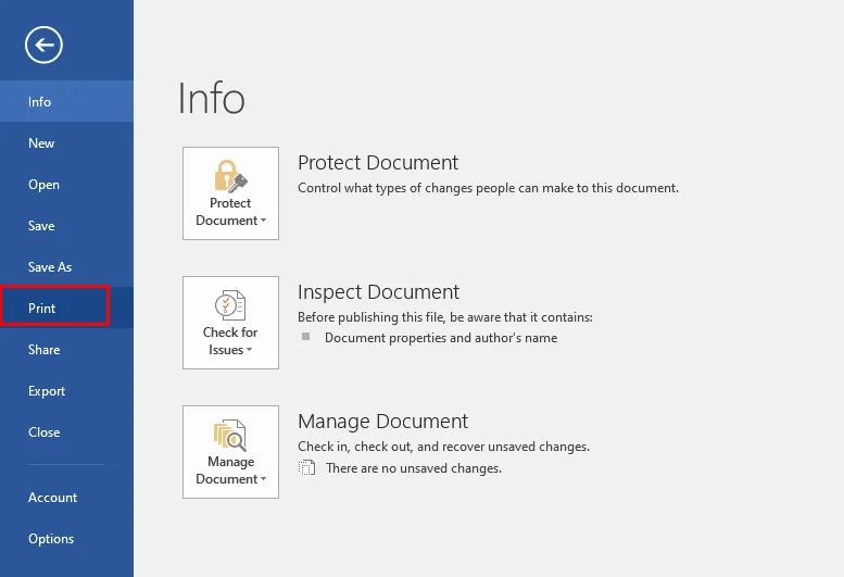 Thao tác File > Print để mở cửa sổ tùy chọn in ấn trên máy tính