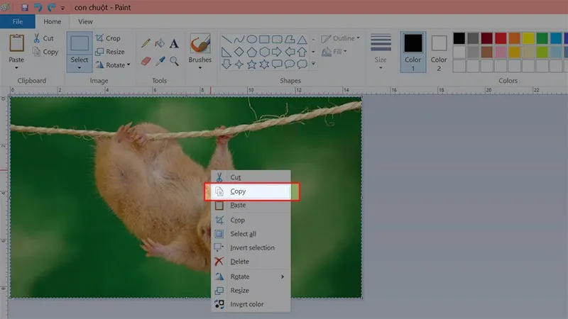 Dùng tổ hợp phím Ctrl + A và Ctrl + C để sao chép toàn bộ nội dung ảnh đã được thay đổi kích thước