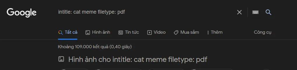 Ví dụ về cách sử dụng toán tử filetype và intitle để thu hẹp phạm vi tìm kiếm dữ liệu nhạy cảm trên máy tính