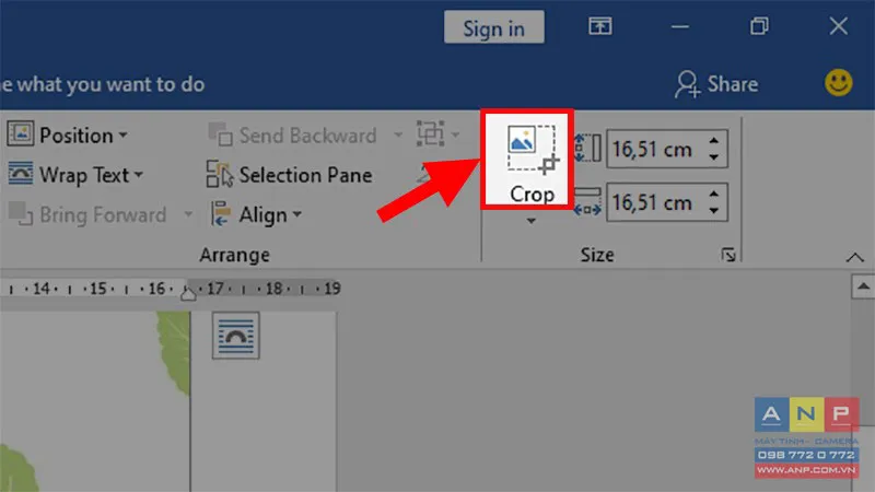 Vị trí nút Crop trong nhóm Size trên thanh công cụ Format của Microsoft Word.