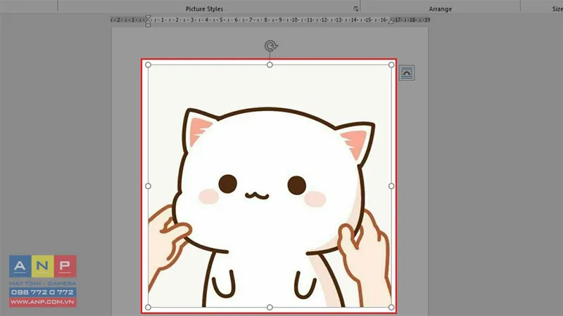 Ảnh đã được cắt hoàn chỉnh, sẵn sàng cho bước chỉnh sửa màu sắc và đường viền.