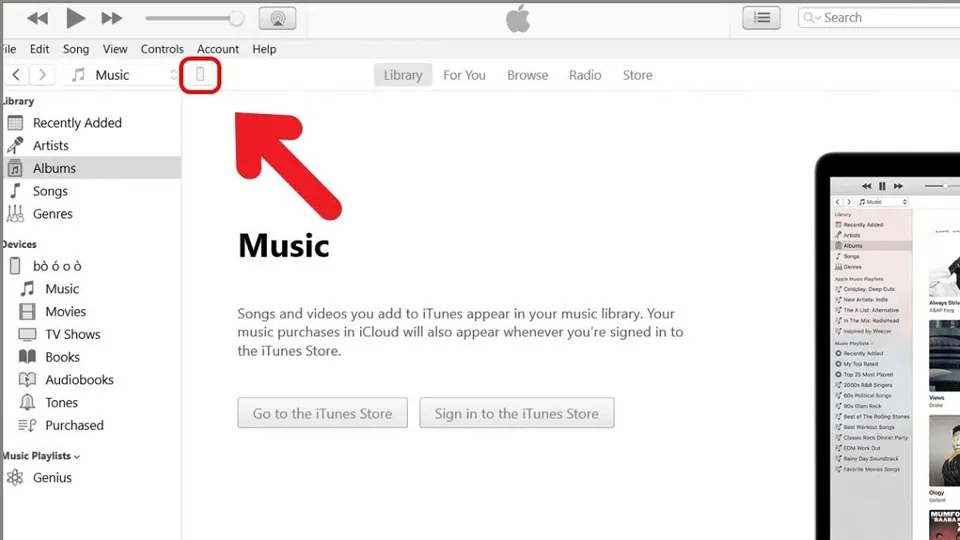 cách cập nhật iOS nhanh nhất (ảnh 7)