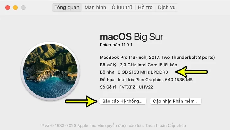 Báo Cáo Hệ Thống Cung Cấp Thông Số Chi Tiết RAM Đã Cài Đặt Trên Macbook, cách kiểm tra ram máy tính