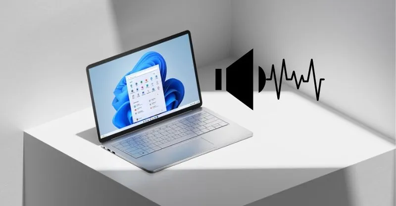 Vấn đề về phần mềm khiến loa mất tiếng có thể là do virus hoặc xung đột