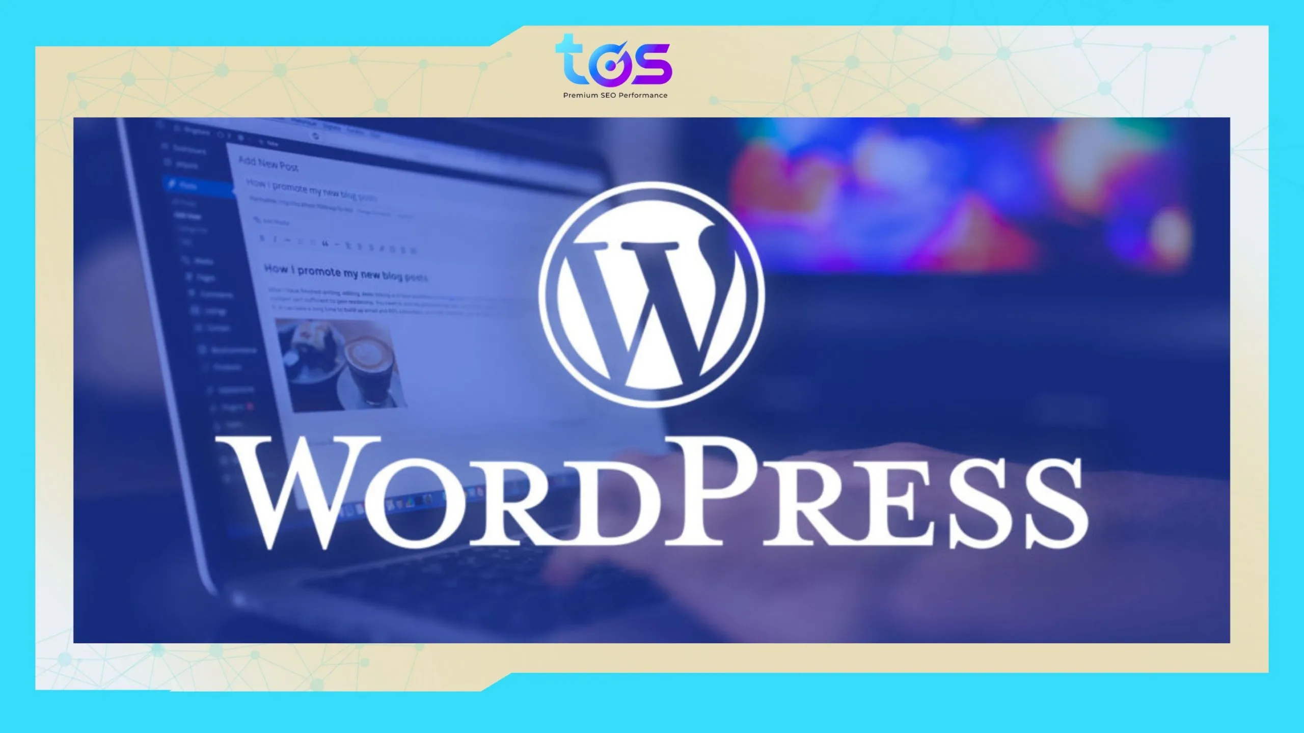 Ảnh giao diện WordPress