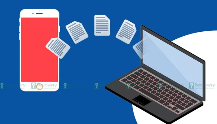 Sắp xếp và quản lý dữ liệu khoa học trên máy tính sau khi thực hiện copy dữ liệu từ điện thoại sang máy tính bằng các phương pháp chuẩn.