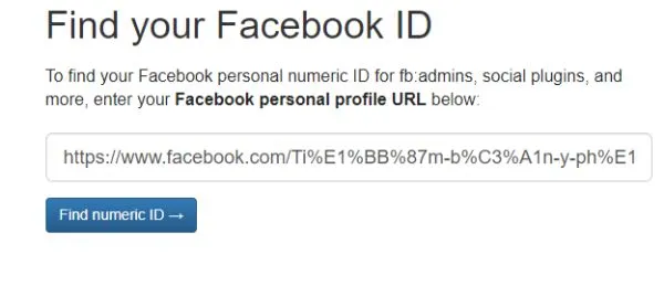 Lỗi hiển thị kết quả tìm kiếm Fanpage trong Audience Insights