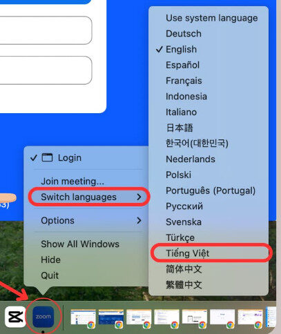 Cách Đổi Ngôn Ngữ Tiếng Việt Trên Máy Tính: Hướng Dẫn Toàn Diện Cho Người Dùng Việt Nam