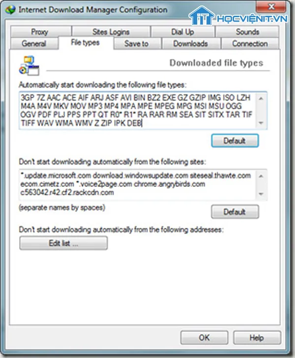 Giao diện Options trong Internet Download Manager để xóa định dạng file xung đột, sửa lỗi máy tính mất tiếng khi phát MP3/MP4