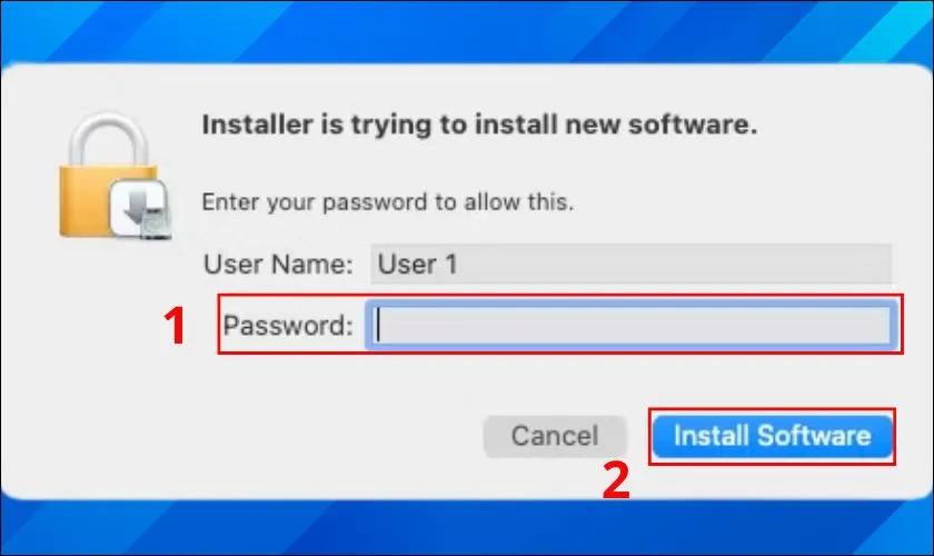 Nhập mật khẩu máy tính và nhấn chọn Install Software