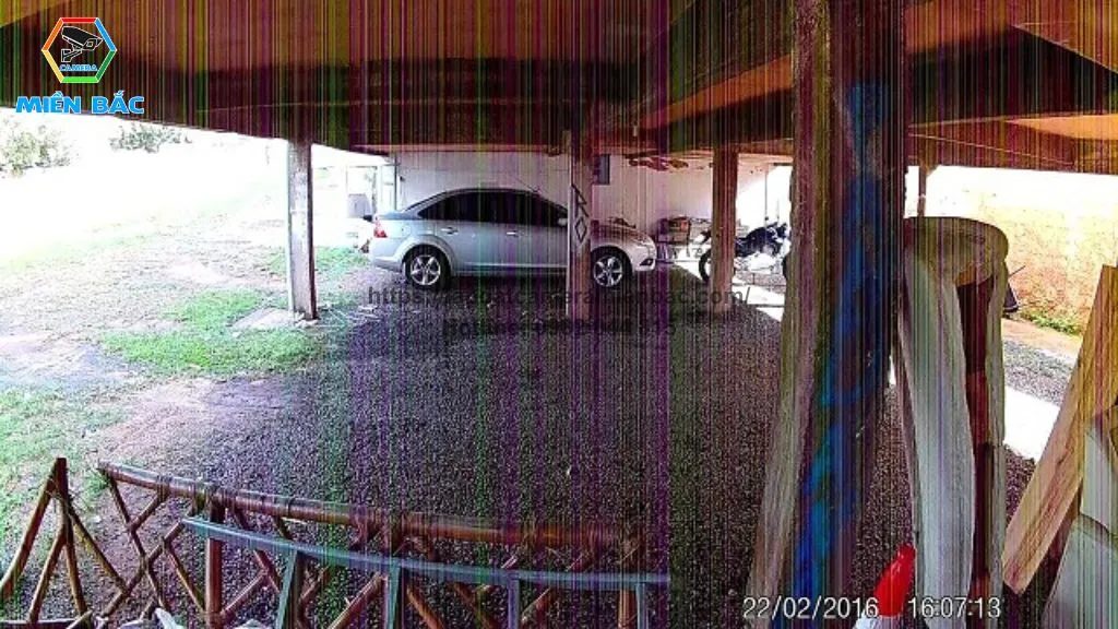 Màn hình hiển thị lỗi sọc tím ngang dọc do camera máy tính bị nhiễu kỹ thuật số