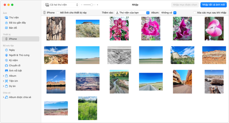 Cách Đổi Ảnh Nền Máy Tính Chi Tiết Cho Windows Và MacOS