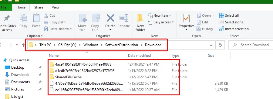 Thư mục Download chứa các file cập nhật Windows cũ cần xóa để dọn dẹp hệ thống