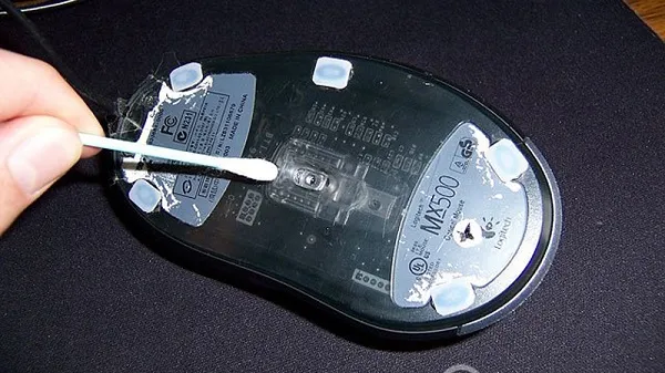 máy tính bị đơ chuột và bàn phím