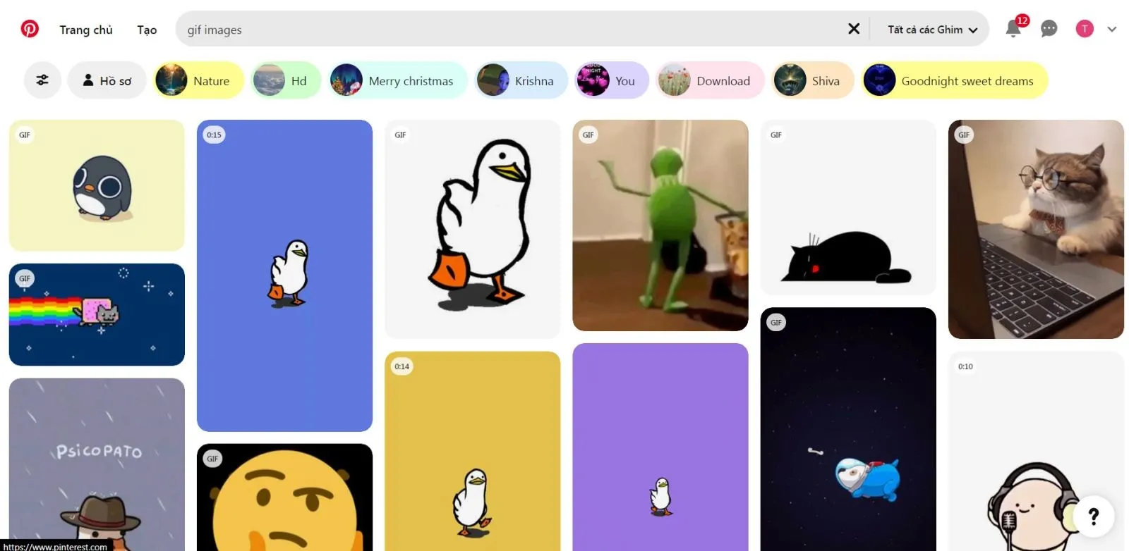 Trang xem chi tiết một Pin ảnh GIF trên Pinterest