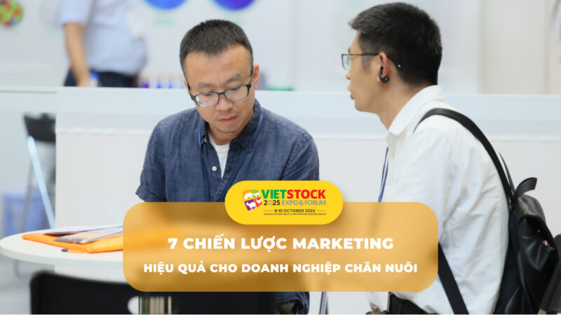 Chiến Lược SEO TỔNG LỰC Từ A-Z: Phân Tích Kỹ Thuật công cụ tải video tiktok Để Khai Thác Thị Trường Ngách