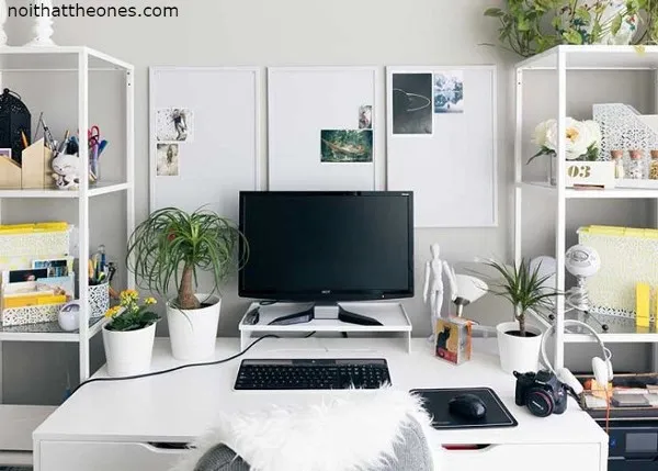 Bàn phím cơ học và chuột gaming cao cấp, món đồ trang trí máy tính độc đáo