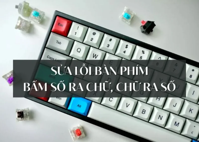 CÁCH BẤM TRÊN BÀN PHÍM MÁY TÍNH HIỆU QUẢ: HƯỚNG DẪN TỪ A ĐẾN Z CHO NGƯỜI MỚI