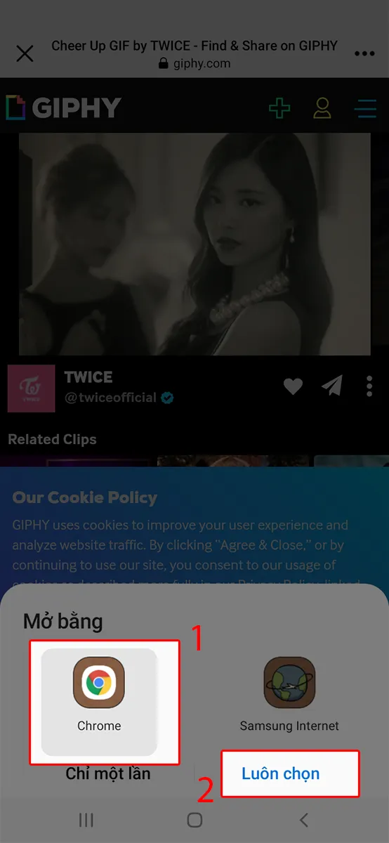 Chọn trình duyệt Chrome, nhấn luôn chọn