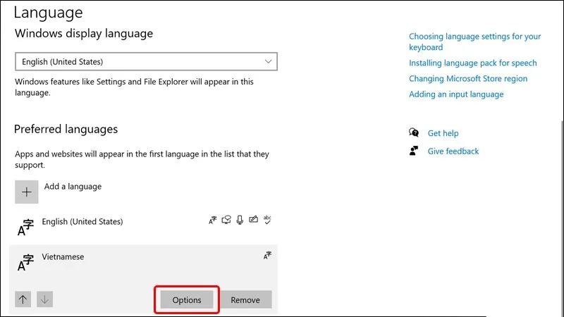 Tùy chọn Ngôn ngữ (Language options) của Tiếng Việt trong Windows, nơi người dùng cấu hình bàn phím gõ