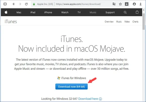 Màn hình tải về iTunes