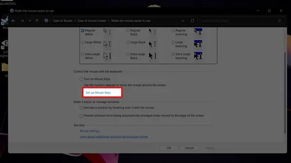 Kích hoạt tính năng Turn on Mouse Keys, sử dụng bàn phím số phụ (numeric keypad) để điều khiển con trỏ.