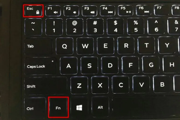 Hướng dẫn bật tắt khóa phím Fn qua tổ hợp phím cứng trên máy tính Dell