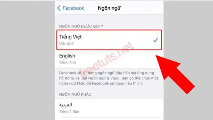 Cấu hình ngôn ngữ Facebook để phục vụ chiến lược marketing và nghiên cứu thị trường