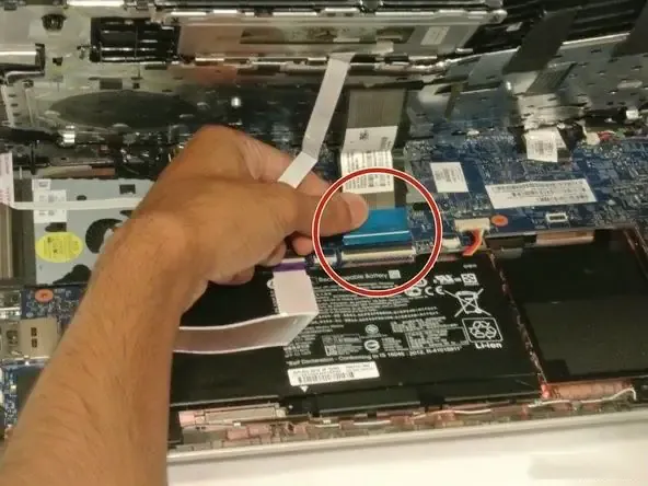 Dây cáp ZIF riêng biệt trên laptop HP