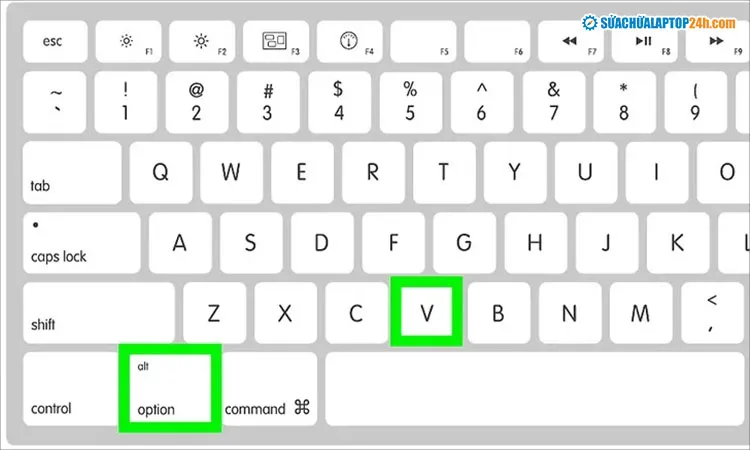 Tổ hợp phím Option + V để chèn dấu căn bậc hai (√) nhanh chóng trên MacOS
