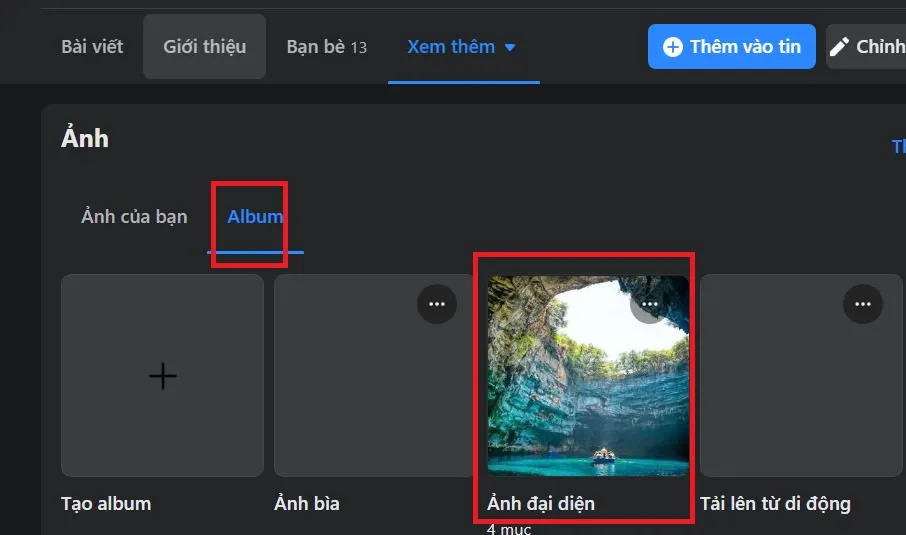 Minh họa album "Ảnh đại diện" trong album