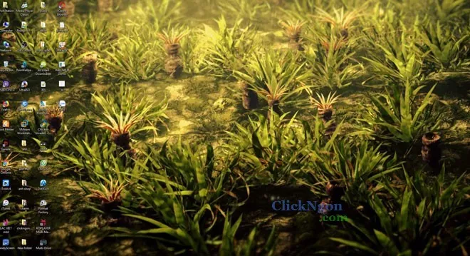 Kết quả màn hình desktop sau khi áp dụng hình nền động bằng DeskScapes.