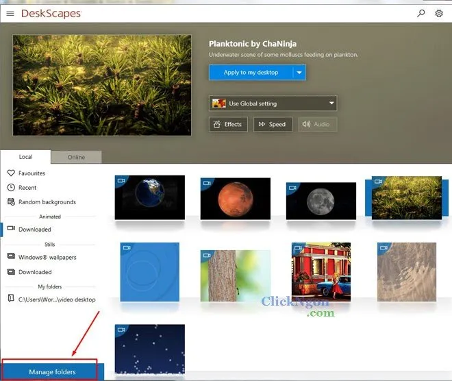 Thao tác quản lý thư mục nguồn video trong phần mềm Stardock DeckScapes.