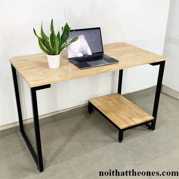 Chậu cây cảnh mini trang trí bàn máy tính hợp phong thủy và giảm căng thẳng thị giác