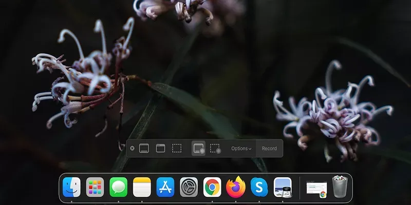 Chọn cửa sổ cần chụp sau khi đã dùng tổ hợp phím để chụp màn hình hệ điều hành macOS