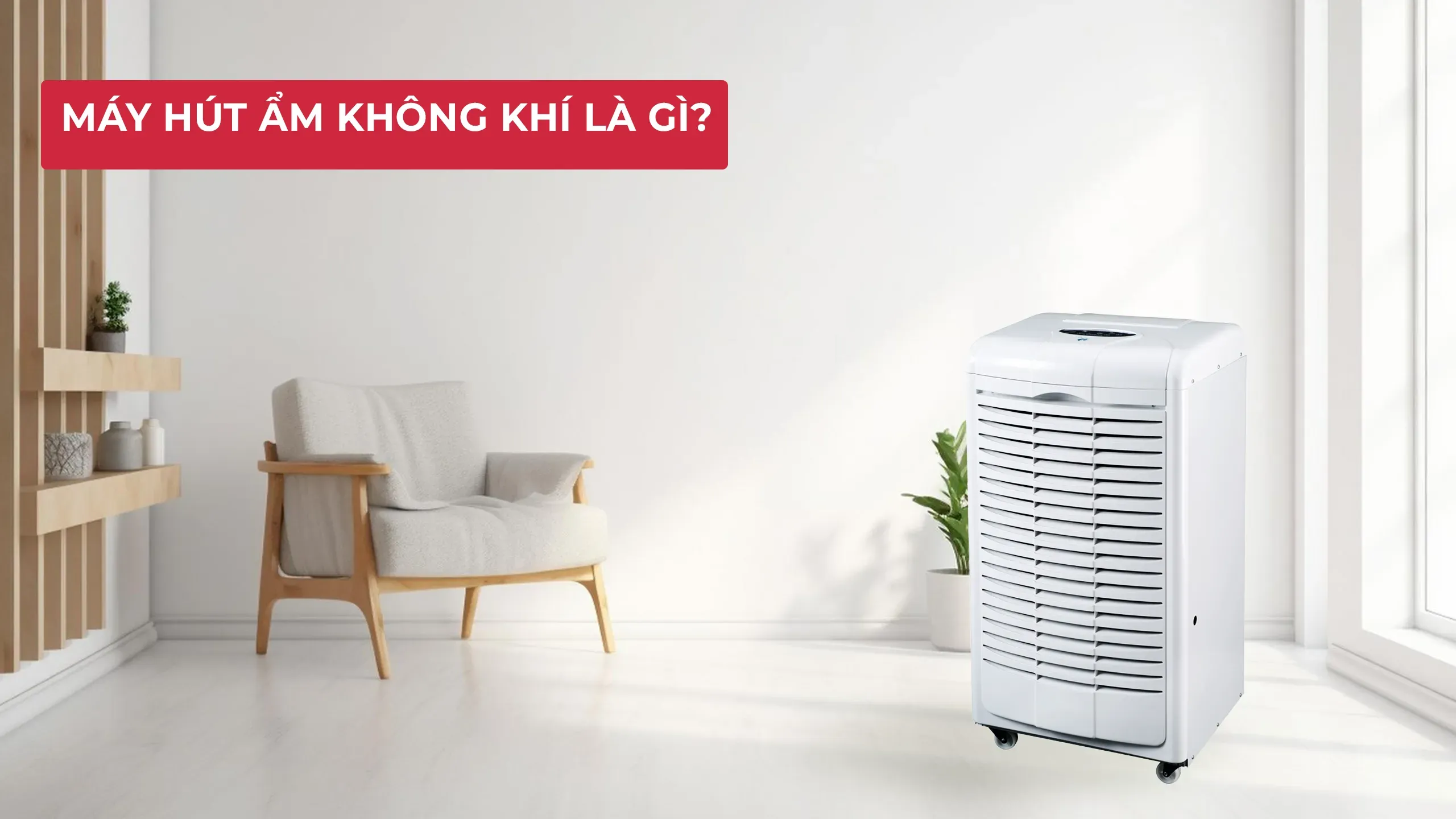 Nguyên lý hoạt động chi tiết của máy hút ẩm ngưng tụ, giải đáp nên mua máy hút ẩm loại nào