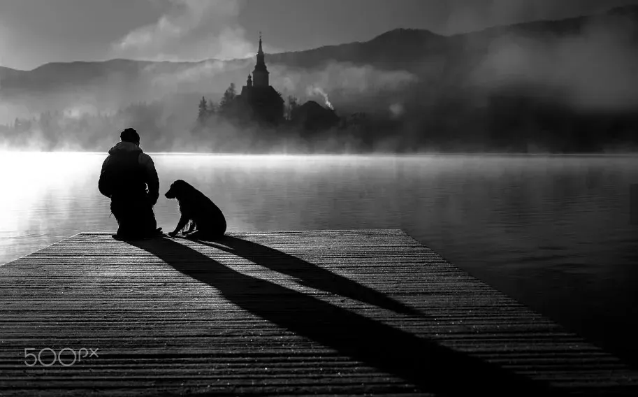 Quy trình kiểm tra áp lực nhẹ lên viền màn hình để xác định lỗi cáp FPC