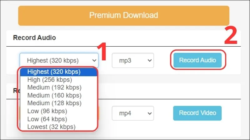 Chọn chất lượng và nhấn Record Audio để tải nhạc về máy tính từ YouTube