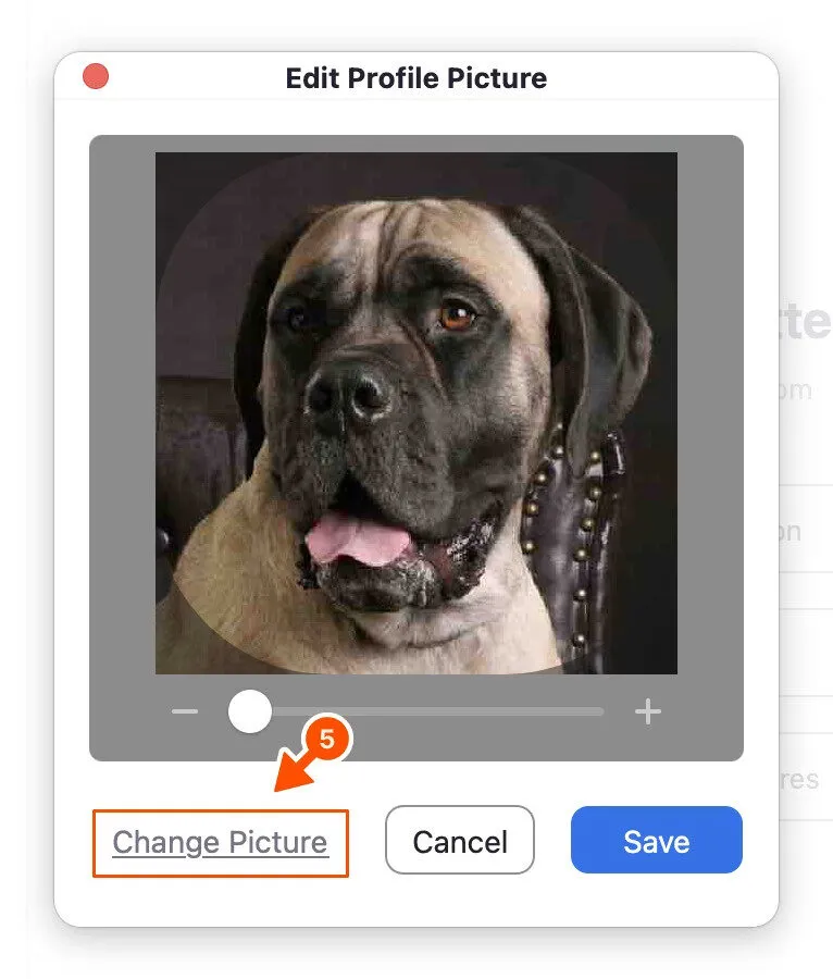 Nút Thay đổi ảnh (Change Picture) trong Profile Zoom