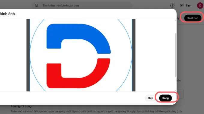 Ảnh đại diện kênh YouTube sau khi được điều chỉnh và xuất bản (Publish)