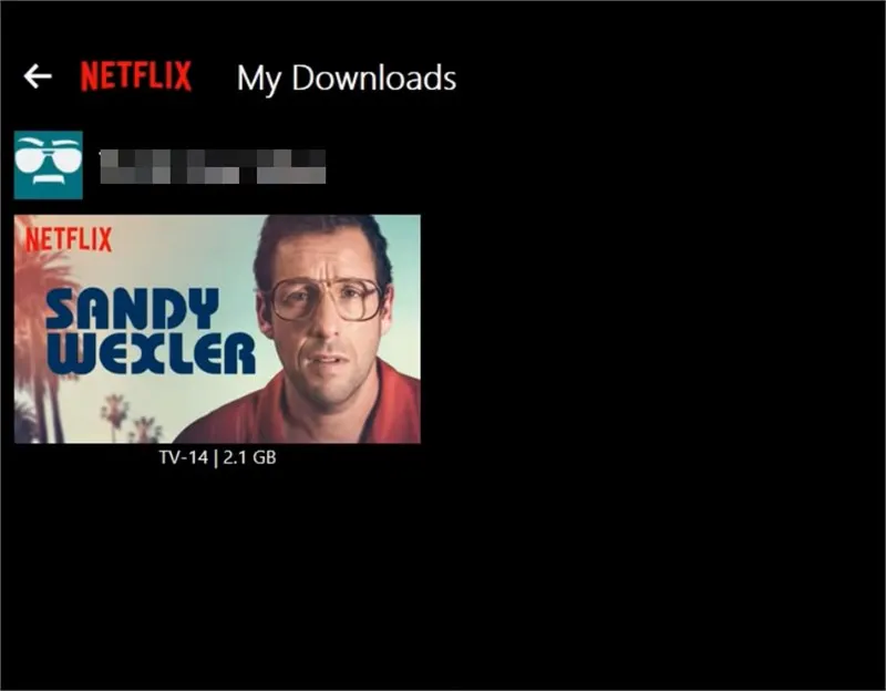 Ảnh minh họa giao diện ứng dụng Netflix sau khi tải thành công nội dung