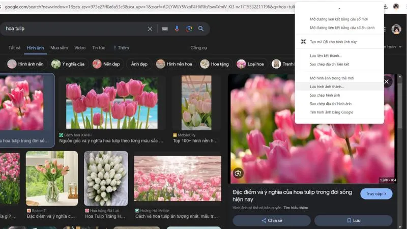 Menu chuột phải và tùy chọn Lưu hình ảnh thành khi tải hình ảnh về máy tính