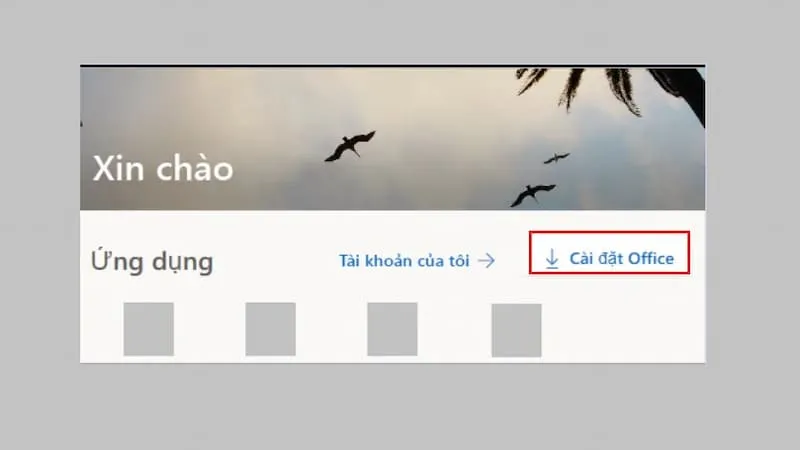 Bước 2: Chọn mục cài đặt Office 365 trên giao diện web