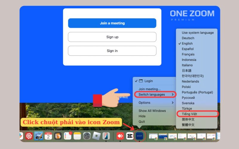 Cách Đổi Ngôn Ngữ Sang Tiếng Việt Trên Máy Tính Zoom: Hướng Dẫn Toàn Diện