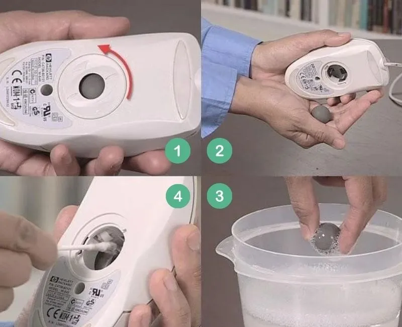 Vệ sinh chuột bi