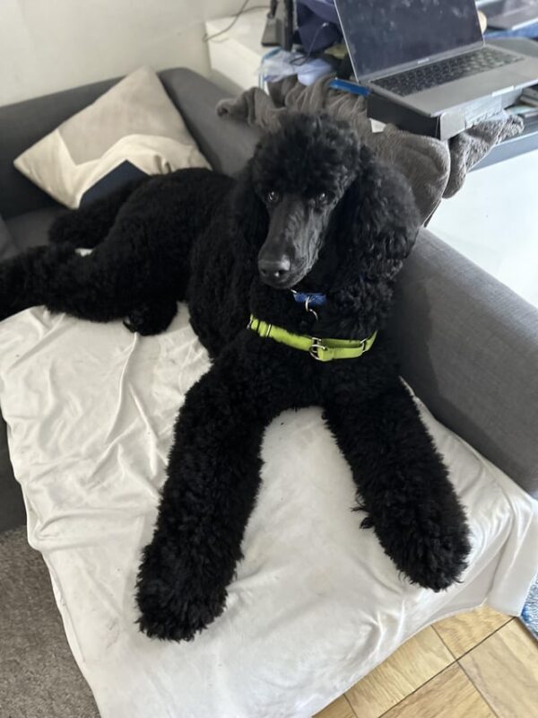 Cách Cắt Ảnh Máy Tính Chuyên Nghiệp: Hướng Dẫn Chi Tiết Với Mọi Công Cụ Từ Cơ Bản Đến Nâng Cao